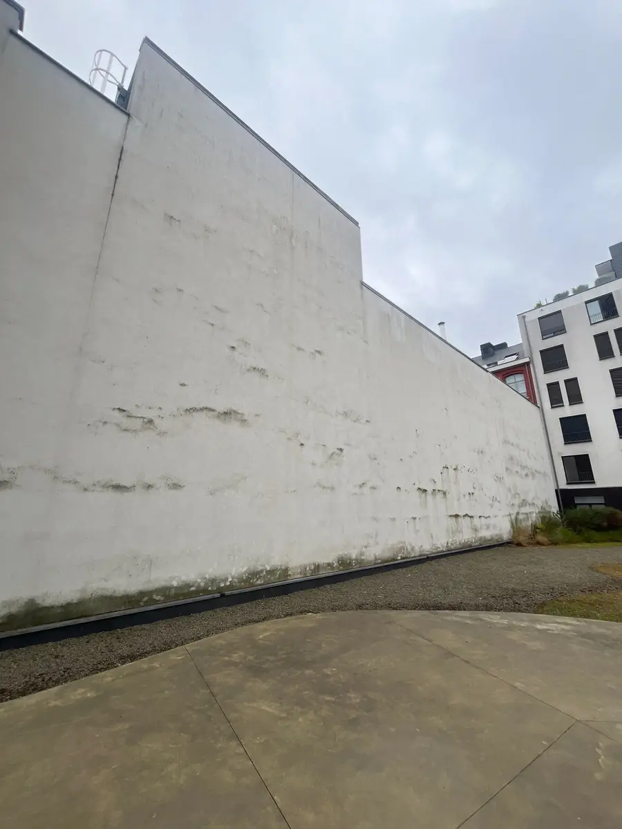 Mur de la cour commune avant nettoyage